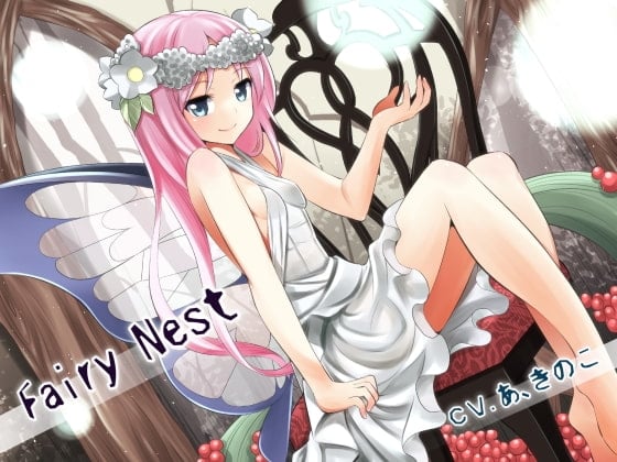 Cover of Fairy nest