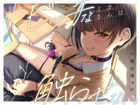 Cover of ビッチなミカさんは触らせない。
