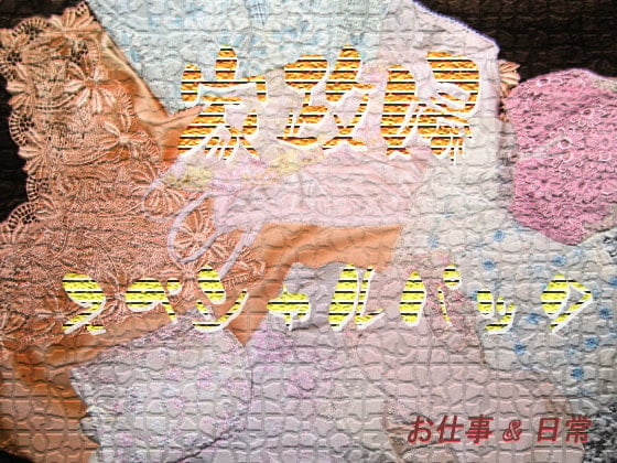 Cover of 家政婦・スペシャルパック