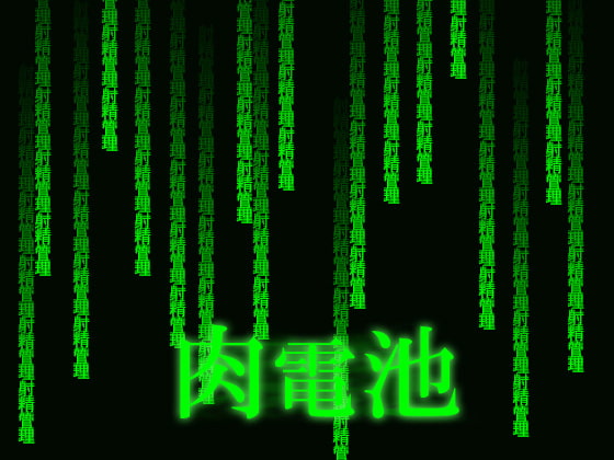 Cover of 肉電池